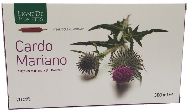 CARDO MARIANO BIOLOGICO 20 AMPOLLE BEVIBILI DA 15 ML - Doctor Vinz