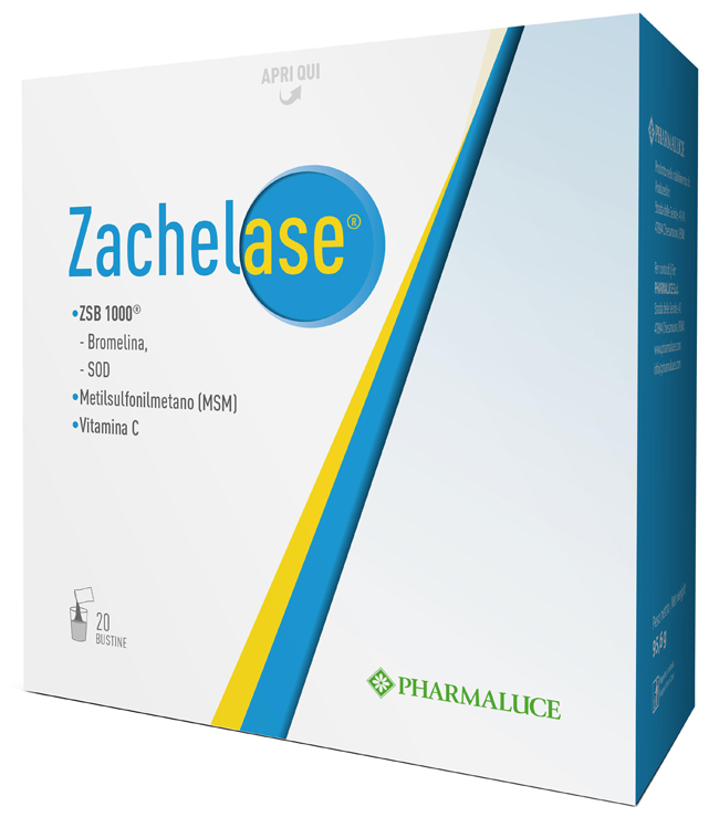 ZACHELASE 20 BUSTINE - Doctor Vinz