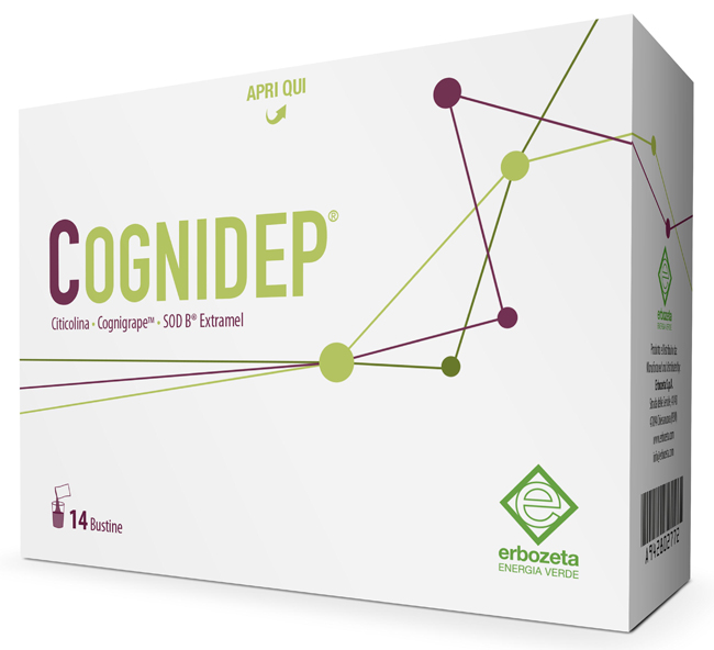 COGNIDEP 14 BUSTINE - Doctor Vinz