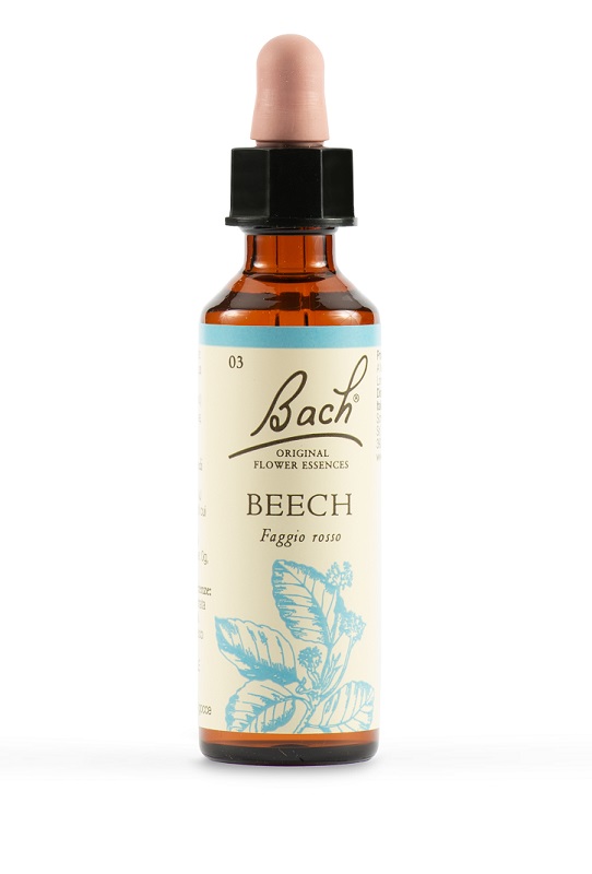 BEECH BACH ORIG 20 ML - Doctor Vinz