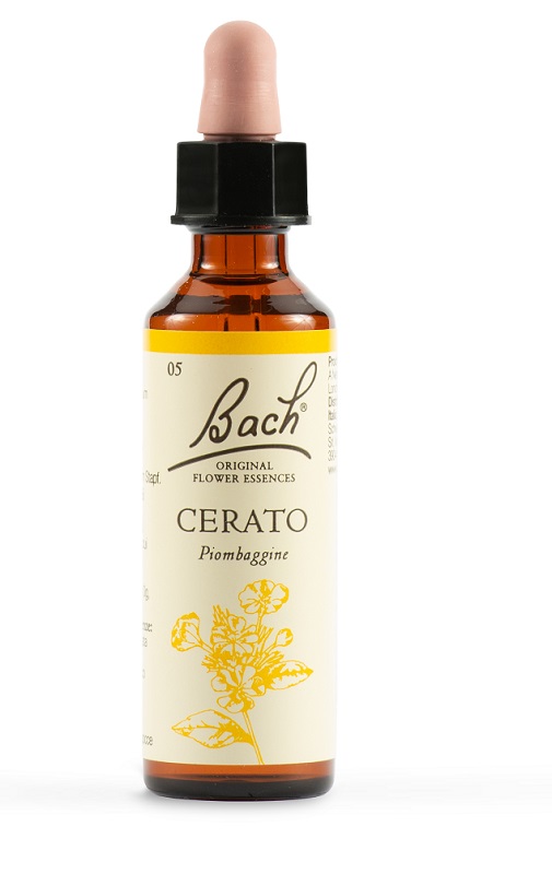 CERATO BACH ORIG 20 ML - Doctor Vinz