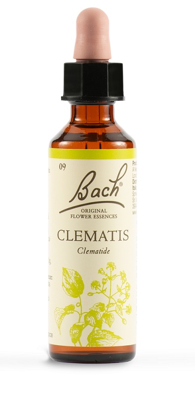 CLEMATIS BACH ORIG 20 ML - Doctor Vinz