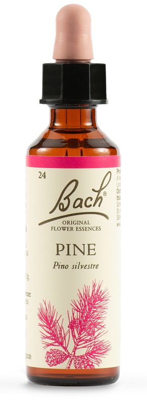 PINE BACH ORIG 20 ML - Doctor Vinz