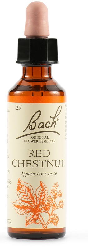 RED CHESTNUT BACH ORIG 20 ML - Doctor Vinz