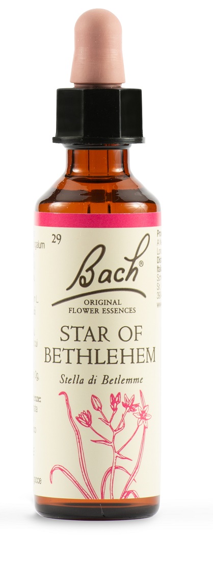STAR OF BETHL ORIG 20 ML - Doctor Vinz