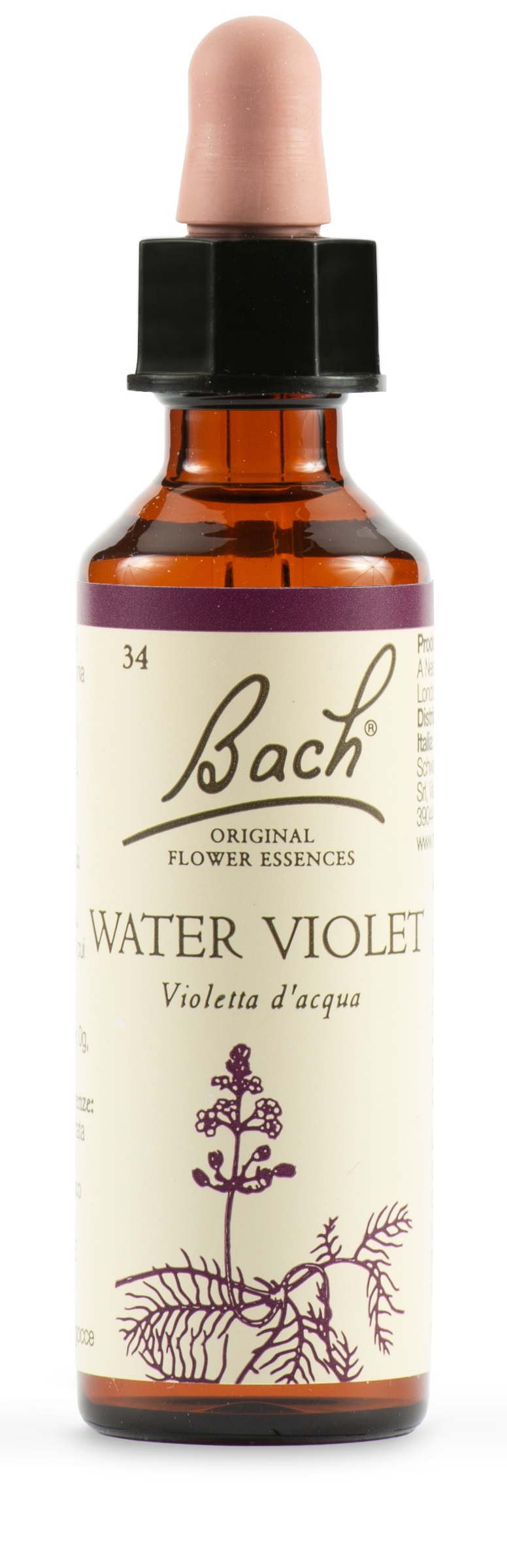 WATER VIOL BACH ORIG 20 ML - Doctor Vinz