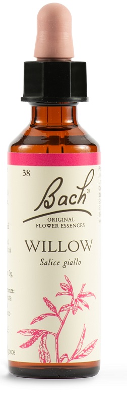 WILLOW BACH ORIG 20 ML - Doctor Vinz