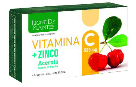 LIGNE DE PLANTES VITAMINA C 500 MG + ZINCO ACEROLA E MANNA DI BAMBU' 60 CAPSULE - Doctor Vinz