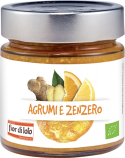 COMPOSTA AGRUMI E ZENZERO BIO 250 G - Doctor Vinz