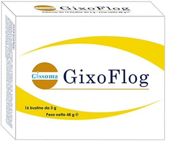 GIXOFLOG 16 BUSTINE - Doctor Vinz