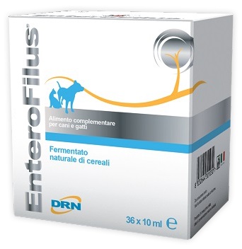 ENTEROFILUS FIALE 36 X 10 ML - Doctor Vinz