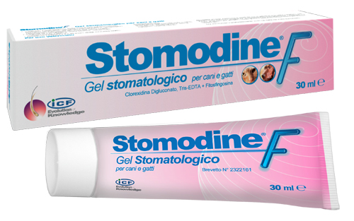 STOMODINE F 30 ML - Doctor Vinz