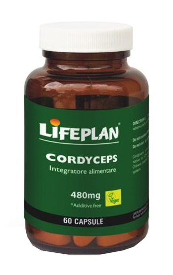 CORDYCEPS 60 CAPSULE - Doctor Vinz