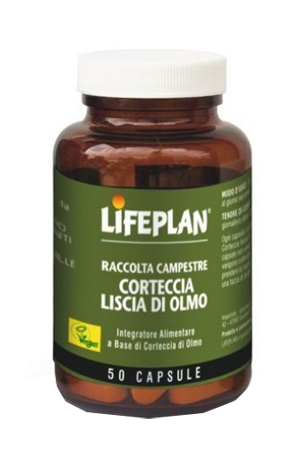 CORTECCIA LISCIA DI OLMO 50 CAPSULE - Doctor Vinz