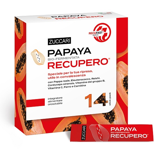 PAPAYA RECUPERO 14 STICKS - Doctor Vinz