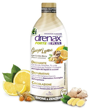 DRENAX FORTE PLUS GINGER LEMON 750 ML - Doctor Vinz