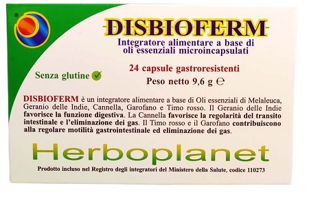 DISBIOFERM 24 CAPSULE - Doctor Vinz