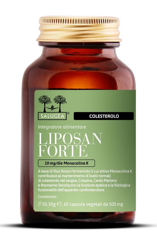 SALUGEA LIPOSAN FORTE 60 CAPSULE - Doctor Vinz