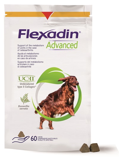 FLEXADIN ADVANCED 60 TAVOLETTE APPETIBILI MASTICABILI PER CANI - Doctor Vinz